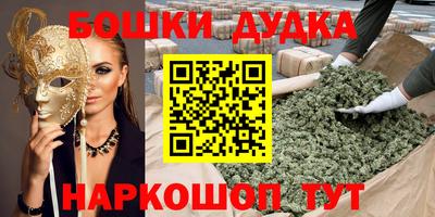 дмт Обь